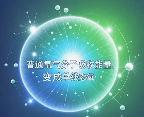多巴胺喷壶包装盒.png