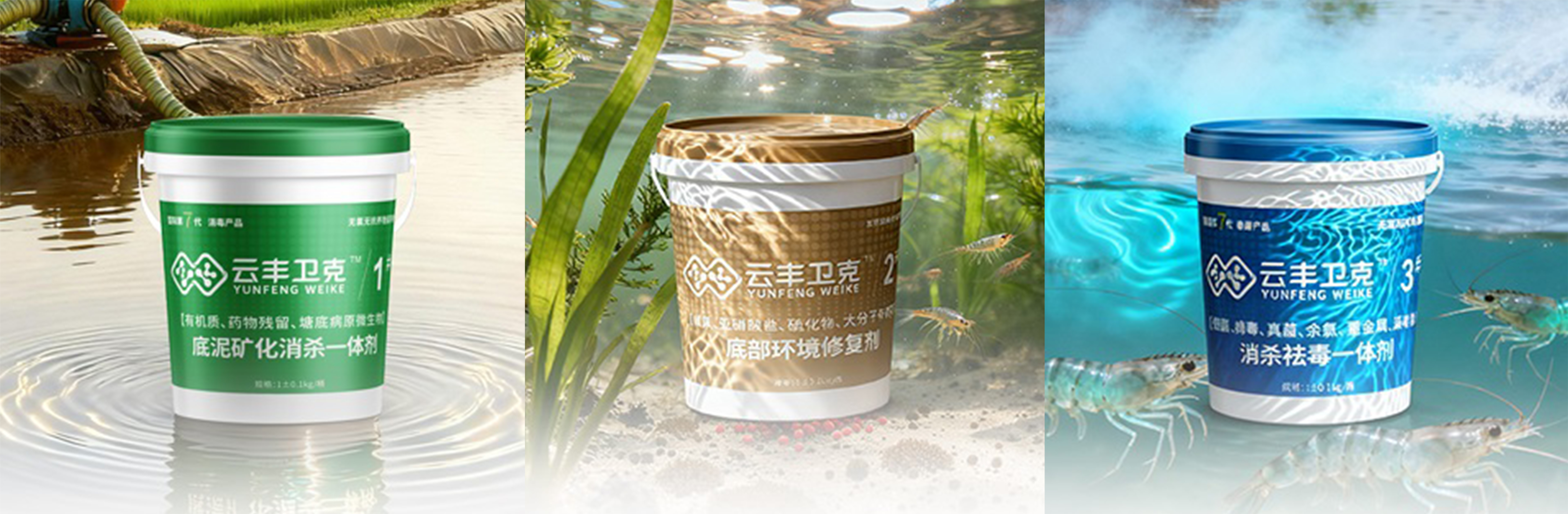 未标题-1.jpg