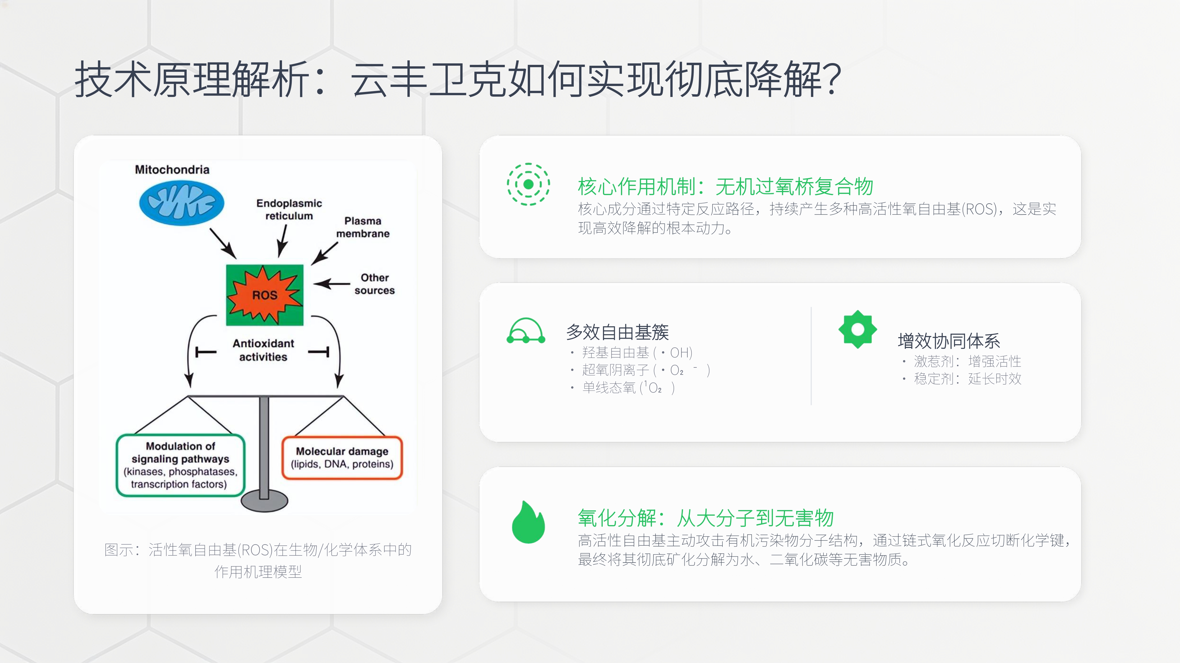 云丰卫克降解孔雀石绿效果总结报告(0424)_page-0019.jpg